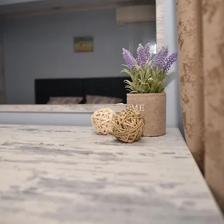 Amigo Apartment *